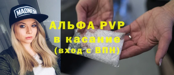 стаф Ладушкин