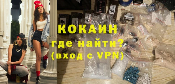стаф Ладушкин