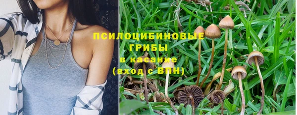 гашишное масло Тавда