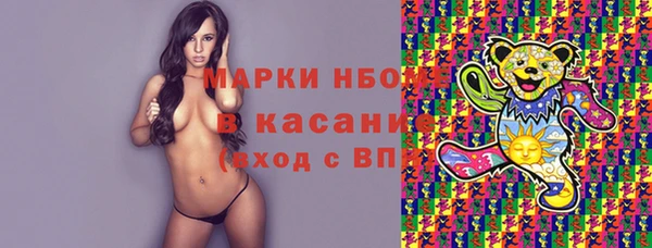стаф Ладушкин