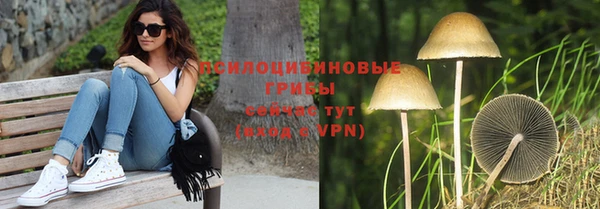 спайс Лагань