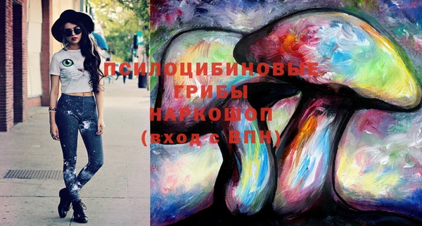мдпв Лабытнанги