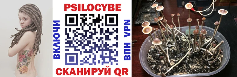 блэк спрут маркетплейс  Строитель  Псилоцибиновые грибы мухоморы 