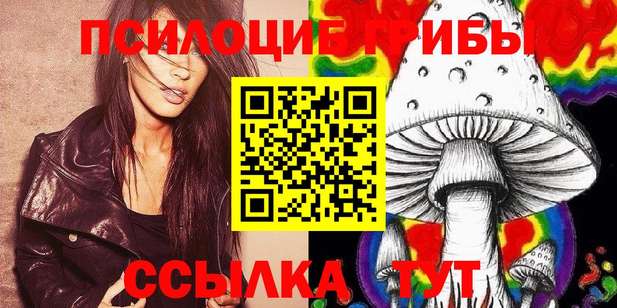 Галлюциногенные грибы Cubensis  Вход с VPN  Строитель 